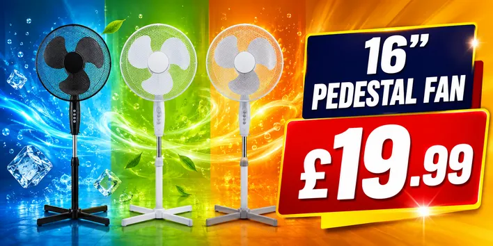 Pedestal Fan