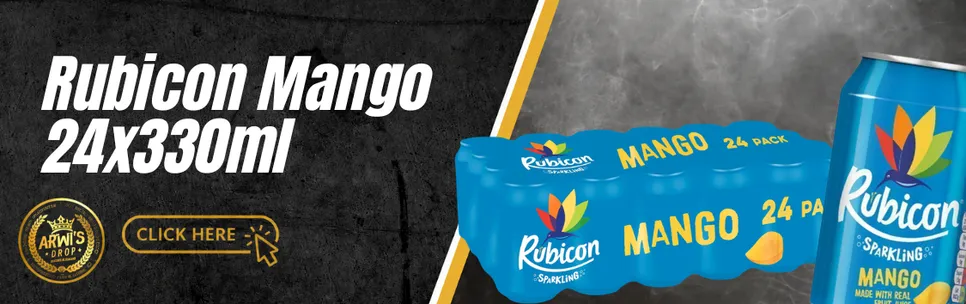Rubicon Mango 24x330ml Cans